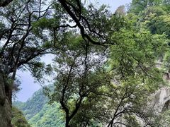 -洛阳白云山景区