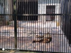 -广东茂名森林公园