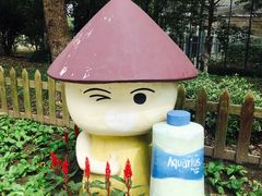 -上海都市菜园