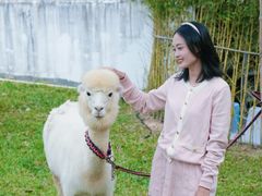 -云栖山谷野奢营地