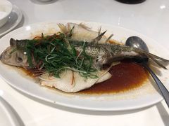 -至潮餐厅精致粤菜·活鲈鱼·走地鸡(珠江新城店)