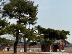 -景福宫