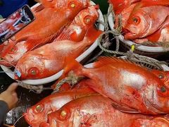 -原志优秀食材·匠心料理·海胆主题(金亿广场店)