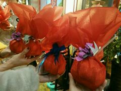 -辣不二地道川菜(汉水路店)
