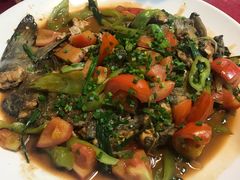 -生态苑农庄(十里画廊遇龙河店)