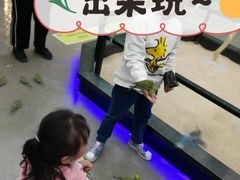 -昆明大悦城未来动物城(螺蛳湾中心店)