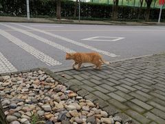 -华东政法大学(松江校区)