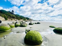 -摩拉基大圆石