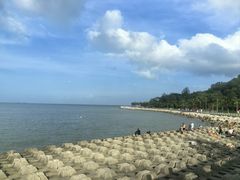 -野狸岛