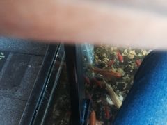 -颐和•海鲜砂锅粥•啫啫煲(奥林匹克广场店)