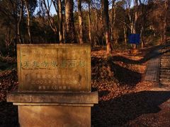 -南京市无想山景区