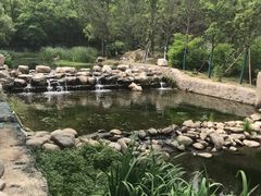 -白水寺森林公园