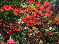 -九鼎铁刹山风景区