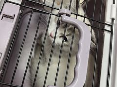 -宠福鑫动物医院(城北分院)