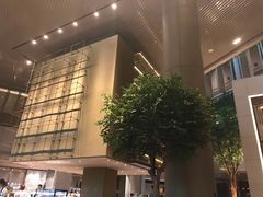 景观位-博林天瑞喜来登酒店·西丽尚膳