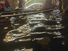 -裕龙汤泉