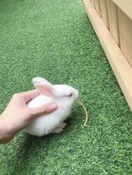 -萌宠亲子动物乐园(槐房万达店)