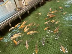 -金河半岛园林酒家(金融城店)