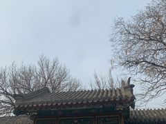 -张学良旧居陈列馆