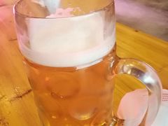 -第35届青岛国际啤酒节