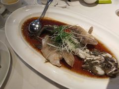 -望乡楼上海菜(日月光店)