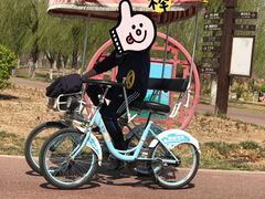 -武清南湖绿博园