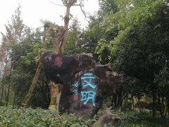 -重庆彩云湖湿地公园