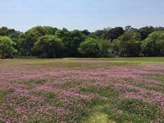 -福建鲤鱼洲酒店