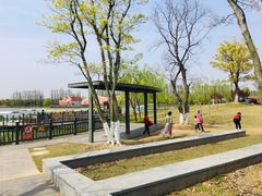 -上海长兴岛郊野公园