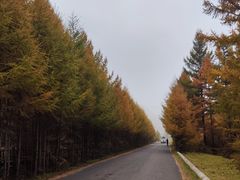 -苏木山森林公园