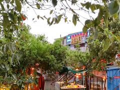 -晓琦农家菜馆·地道农家菜