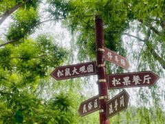 -欢乐松鼠谷