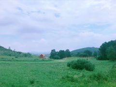 -塞罕坝国家级自然保护区