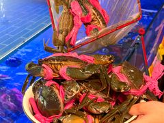 -辣螃铠盆盆蟹大排档(海昌店)