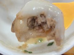 -邹记鸡肉汤圆(笔山路店)