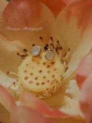 -北京七彩云南翡翠珠宝旗舰店(月坛店)