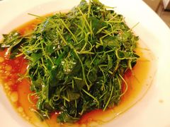 金花菜酒香-新聚丰菜馆(太监弄店)