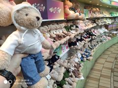 -济州岛泰迪熊博物馆