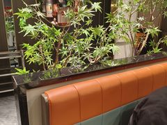 -刘胖子家常菜·蹄花焖藕(中南店)