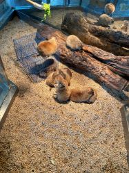 -未来动物城主题公园(正弘城店)