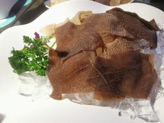 比脸大的毛肚-锅说大脸毛肚重庆老火锅(佐阾店)