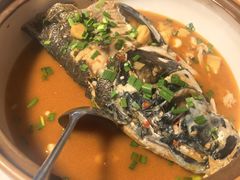 -千岛湖小鱼儿·淳安匠心农家菜