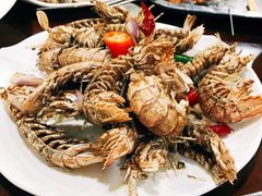 -大萝卜烧烤羊蝎子烤全羊(新城河路店)