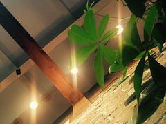 -RUMORS COFFEE ROASTERY鲁马滋咖啡(湖南路店)