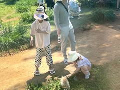 -秦皇岛野生动物园