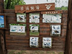 -梁鸿国家湿地公园