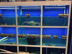 水产区-金龙·打边炉(南京西路店)