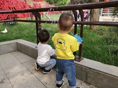 -西安曲江寒窑遗址公园