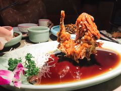 -新白鹿餐厅(金鹰新街口店)