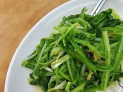 青龙菜-新峰肉骨茶
